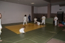 ost-23